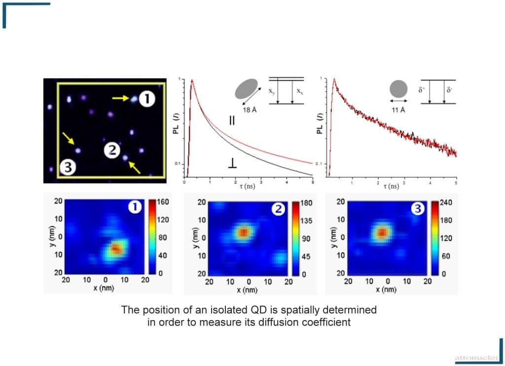 Polarized Quantum Dots Spectra